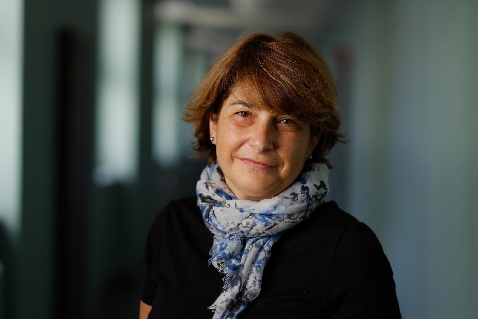 4896 &times; 3264 Pixel